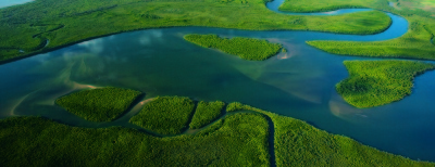 Barramundi 2019 Season